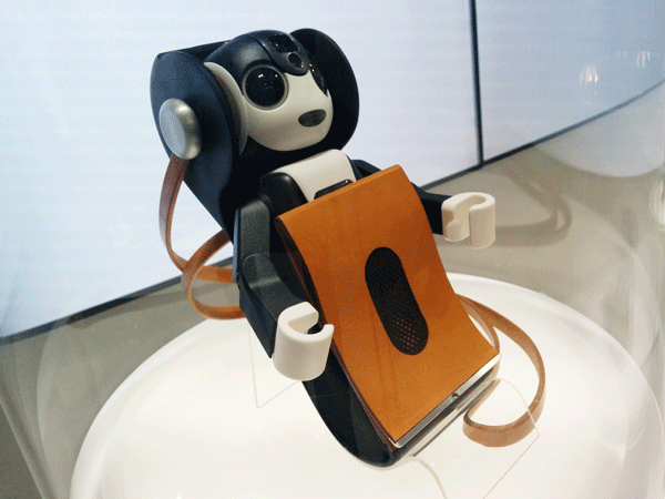 robohon6
