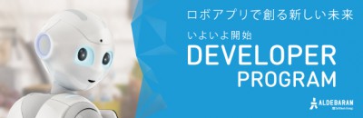 Developer_program