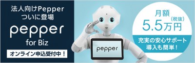 Pepper4biz