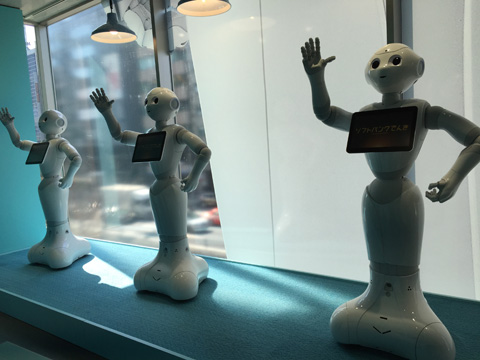 pepper10