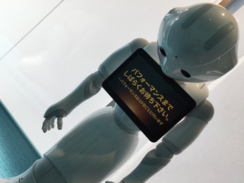 pepper13