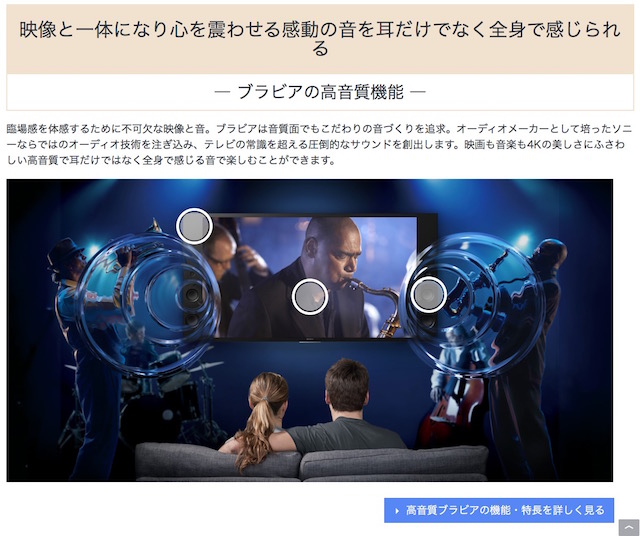 bravia_feature4